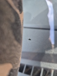 99ebdd05-7d6e-4a03-8b5f-cca488d6dcc8