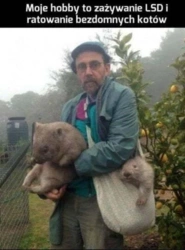 0908748a-8c71-438c-a7e3-d029b5aa14ff