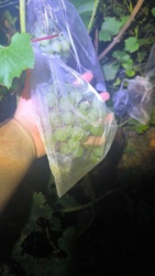 233d5894-8803-4b01-a03e-885d72d7f0ee