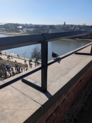 39f75878-72aa-4251-bd21-98def46f8afc