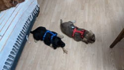 061b3f07-0d15-4ed2-b925-41d970de458b