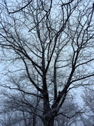 12472b46-8133-48d3-b2b1-2075d9772db7