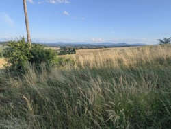 e833e862-e764-4ec5-ba4d-290a609f4f6c