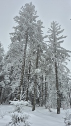 8e0af2fc-4fe0-4ace-b5de-5a1e1caf0f40