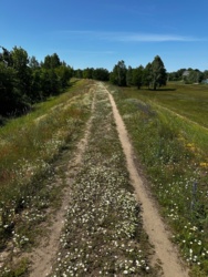 21872092-e832-4f1e-a5e4-eae8c3831d07