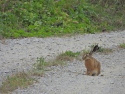 70a391e0-0db1-448e-b62d-011157f4df15