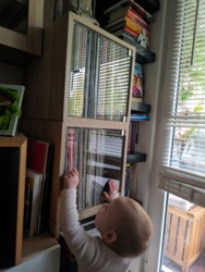 315cad85-5f12-472c-b317-d4dbc8d64e4a