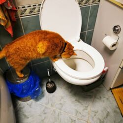 c48e6083-7d36-4995-84a3-7b0138afd9c8