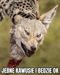 69bfef6a-1c01-4ad3-b0f7-fbdf2d74da2d