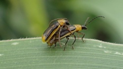 7135b7c9-81e1-4d7a-a70a-6527f5d37f02