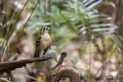 67e72240-da0f-4df9-b4fe-679c4ef9b28c