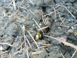 114cc055-b1bb-471a-bab3-ac226439ff6e