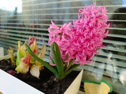 0391ca0d-f2de-4395-bc95-1c4906e32f83