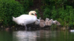 90498f63-0fab-4f81-a366-e594b421296e