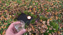 013a38be-1ae7-4b6a-b830-c28dc89d207e