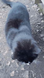 231a272b-edf3-4619-b167-ec0c62c7bb0f