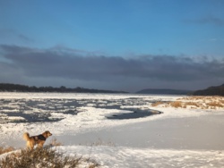 cd5593bf-9935-43fb-ab68-f140a57c7555