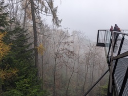 2e119feb-b2c6-4a67-8a92-3bf05bd35561