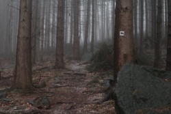 c413864b-5447-43a7-8bb7-96c0c7b9bee3