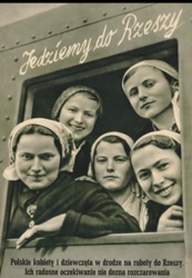 548095c6-025f-434d-a5d4-76c85e3ec277