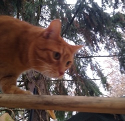 d0555ee8-f246-4466-a716-145c515d3413