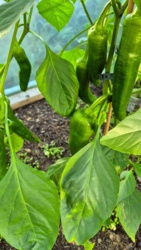 efa5389b-f46f-441a-9859-3516ca751640