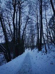 ec942f97-e125-4ad1-8cce-10b3735e4f37