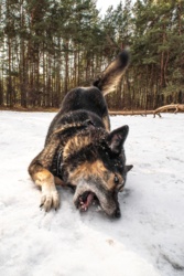 7f5e0893-e3d5-4134-a94b-83c8ebb73aa1