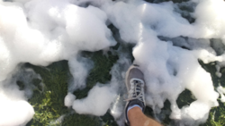 ef174044-6262-414e-b063-6b59dbda6685