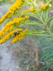 cc1d06de-5d3c-4eae-8e96-2a89b163577f