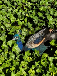 67e60545-84ab-4b86-b6e3-df8ab3c61fc7