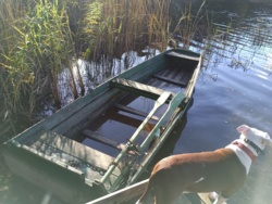 d643d3e6-10cb-4f91-a0df-f0a077e0be2c