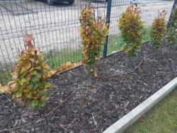 adab5aa3-ca0a-486c-bb60-c3b6243bce3d