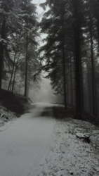 04e76415-4568-4753-9c86-db1c6e96e1a8