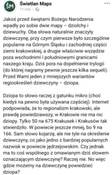 8f1cfad3-9250-41e5-926e-e140cb77544b