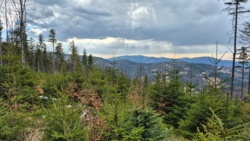 5e7f563f-6d7d-4f3c-b568-6405d5961b70