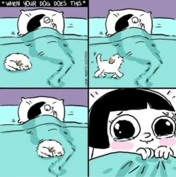 7c22f4de-eb05-4068-b077-f8519ba9a439