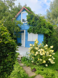 26ffb898-f471-4d46-b0e2-f8c42a26d03a