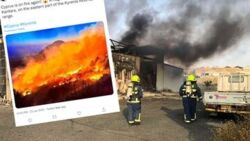 Cypr. Seria pożarów na północy kraju. Spłonęło 48 km kw. terenu