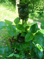 07c2d243-fa04-4f1d-a322-1017de739415