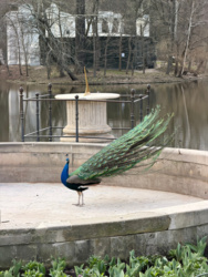 0534f3c8-d476-425b-9edc-697a049e62f6