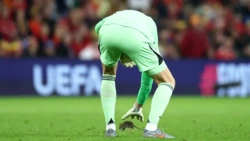 Szczur zakłócił mecz el. MŚ Walia-Belgia