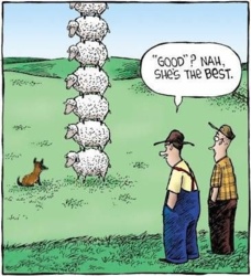 d49f4b2d-2d0c-4891-a215-fd90e1ec468e