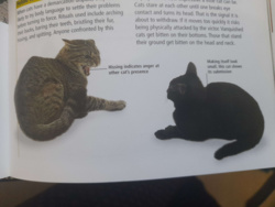 0db4d770-b838-493b-b218-039723271c17