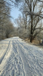 6ca1ed3d-d759-4db5-a1ac-4000107ded73