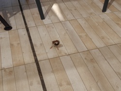 8354795a-bba3-468c-9ae1-fb1bf98bb932