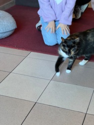 ae918b6f-f887-4d7f-b2f5-7441321e3179