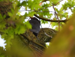 17362f06-24b0-479b-9648-82dbea262ef1