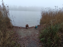 1e5824fc-69c7-4d3a-9887-5354daa5d9e2