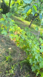 5047c75c-bbf0-442b-95b9-d73583c4ddc1